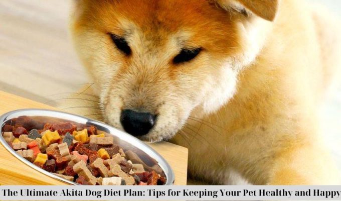 The Ultimate Akita Dog Diet Plan: Tips for Keeping Your Pet Healthy and Happy