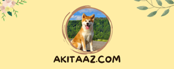 akitaaz.com